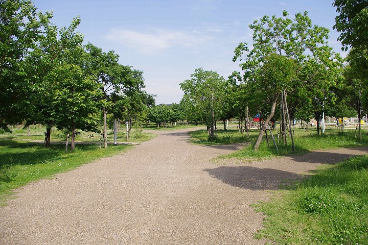 日常の公園の道
